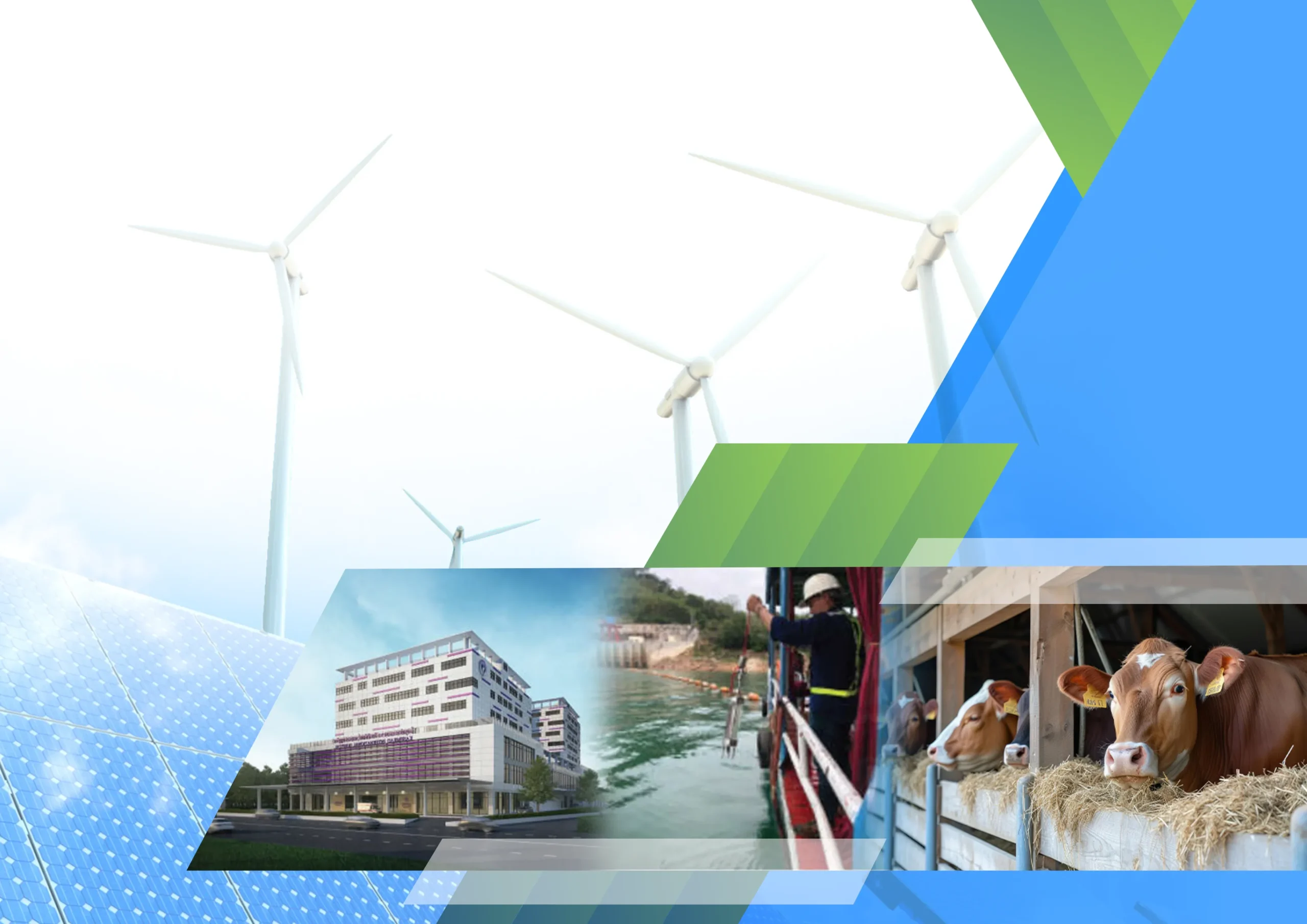 Innogreen environmental consulting field work